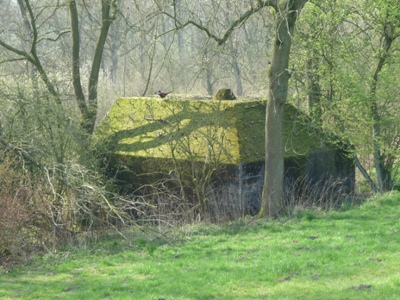 Group Shelter Type P Nieuwe Zuiderlingedijk #1