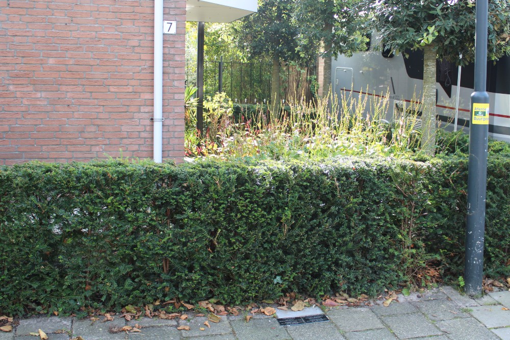 Herdenkingsstenen Van Galenstraat 7 #3