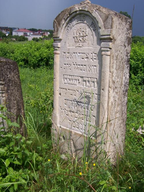 Jewish Cemetery Jzefw #4
