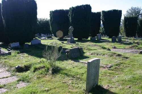 Oorlogsgraf van het Gemenebest Ottery St Mary Cemetery #1