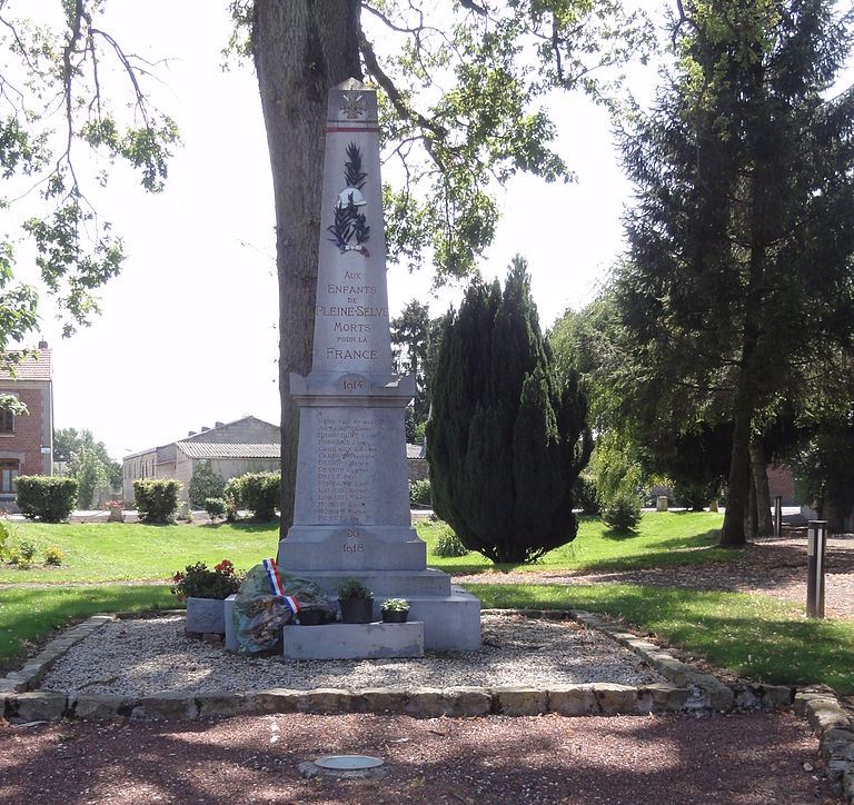 Monument Eerste Wereldoorlog Pleine-Selve #1