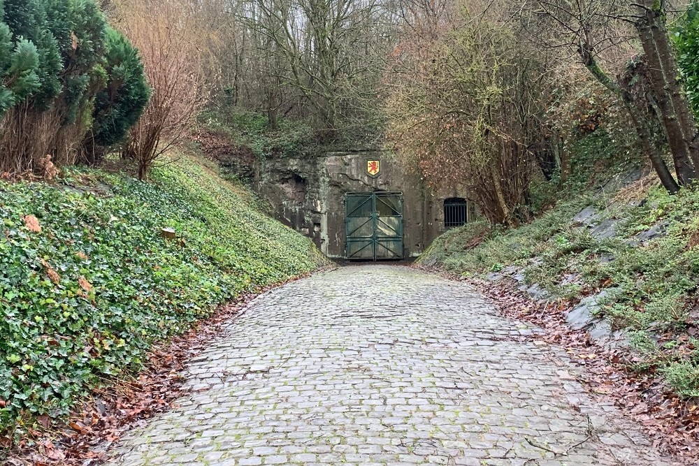 Versterkte Positie Luik - Fort de Boncelles #2