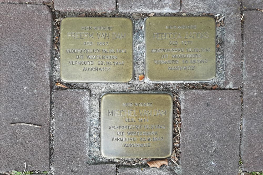 Stolpersteine Bosweg 8 #1