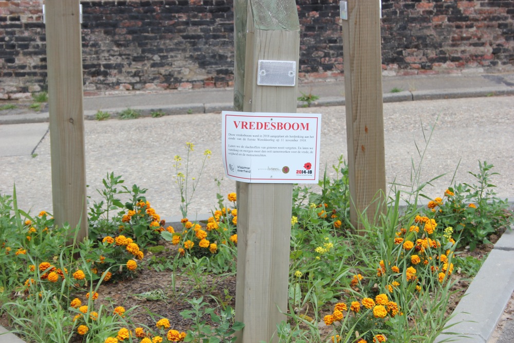 Vredesboom Heks #2