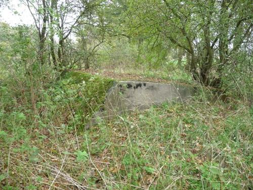 Group Shelter Type 1918/I Fort Vechten