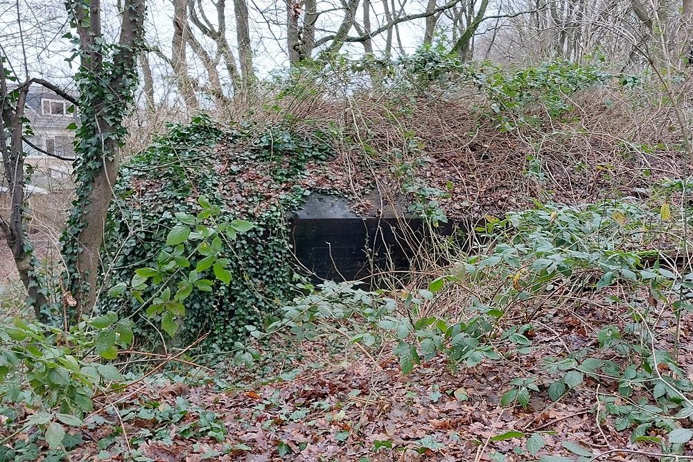 Pantherstellung - Bunker R008-P #3