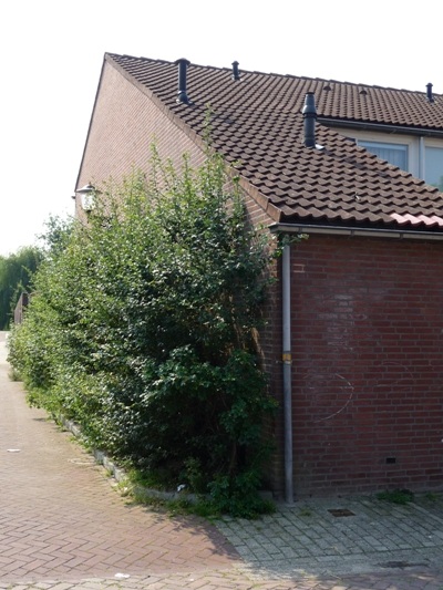 Stolpersteine Nieuwstraat 42