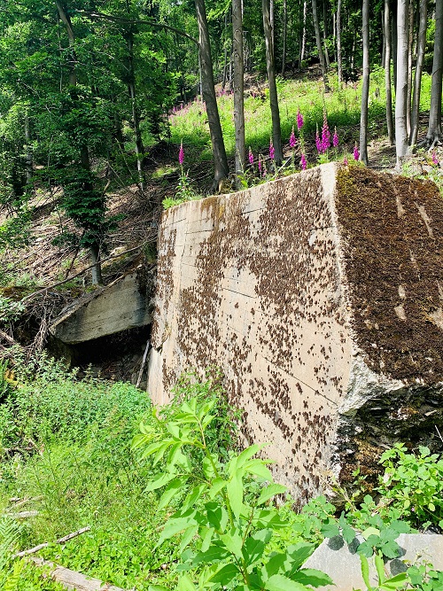 Remains Bunker 118 Hürtgenwald #4