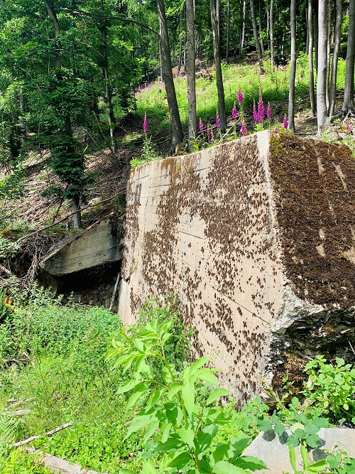 Restant Bunker 118 Hrtgenwald #4