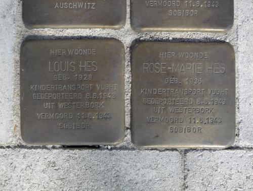 Stolpersteine Dr Hermanslaan 1 #3