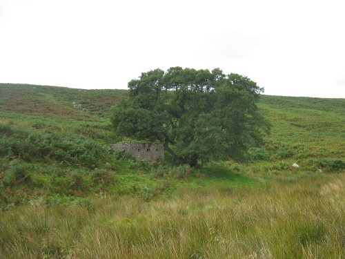 Lozenge Bunker Harehope #1