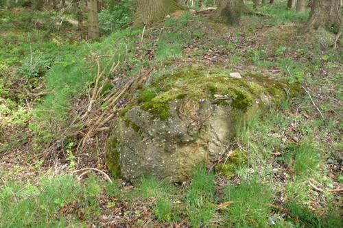 Gesloopte Bunker Propsteier Wald #2