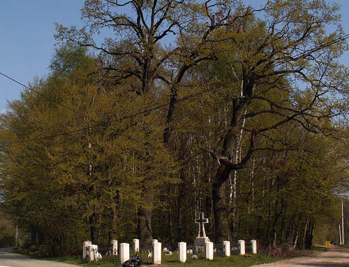 Austrian-Russian War Cemetery No.376 #1