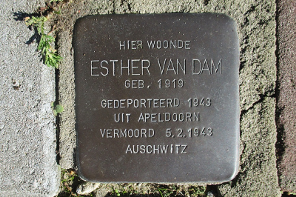 Stolpersteine Veenhoopsweg 49 #3