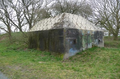 Group Shelter Type P Kocherplantsoen #1