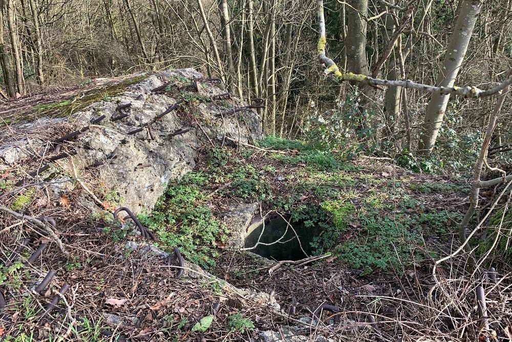 Bunker CF 4 Romsée #4