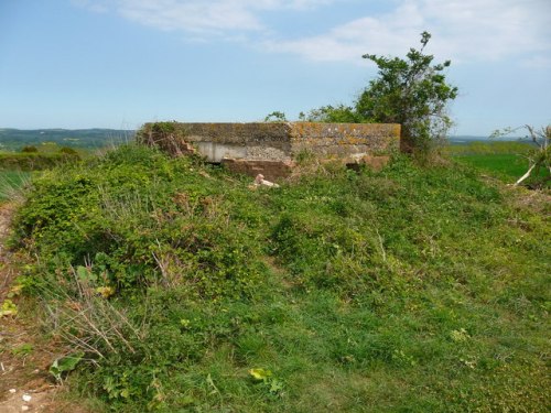 Pillbox FW3/22 West Dean #2