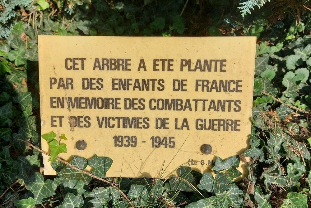 French War Cemetery Condé-Folie #3