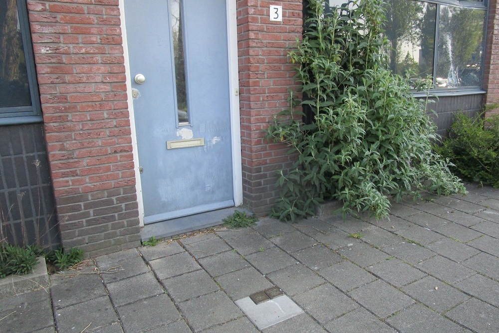 Stolpersteine President Steynplantsoen 3 #4