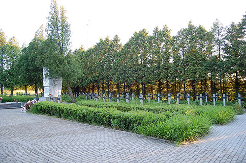 Poolse Oorlogsbegraafplaats Kock #2