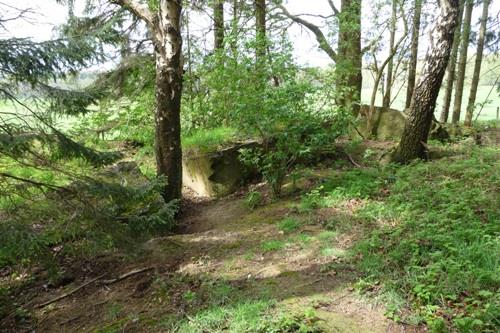 Gesloopte Bunker Propsteier Wald #1