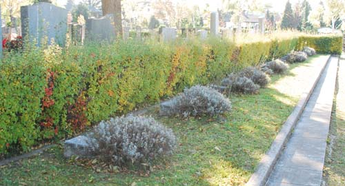 Soviet War Graves Jedleseer Friedhof #2