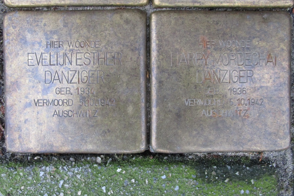 Stolpersteine Hessenweg 220 #3