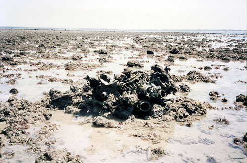 Crash Site & Remains Dutch B25 Mitchell Bomber Nightcliff #1