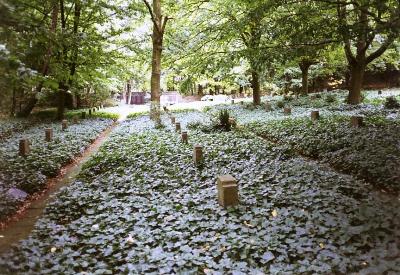 German War Cemetery Pfaffenheck #1