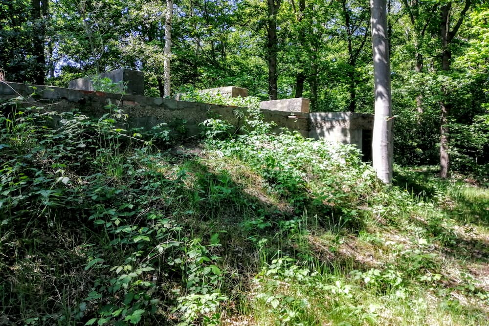 Bunker Kooibos Hoogerheide #4