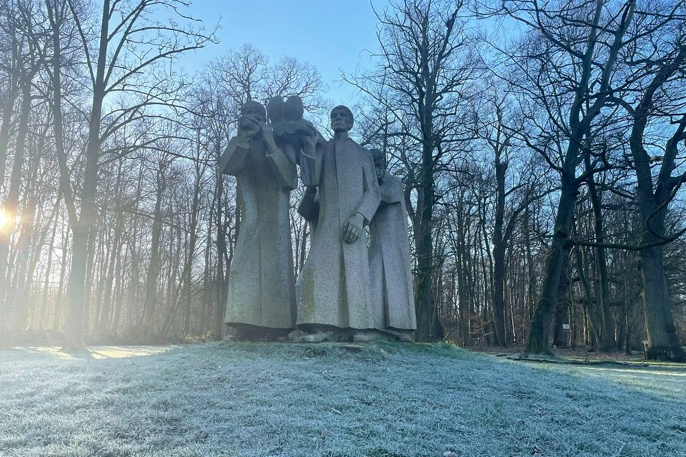 Monument Frans-Duitse Oorlog Steinfurt #4