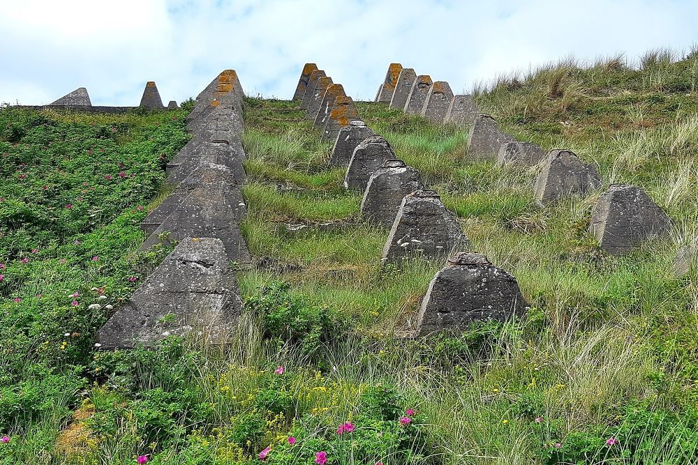 WN 136H - German Tank Barrier Hckerlinie Zanddijk Den Helder #2