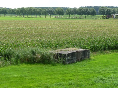 Remains G-Casemate Diefdijk