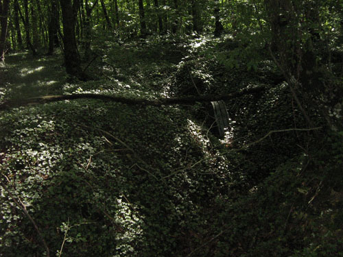 Former German Artillery Position & Trenches #2