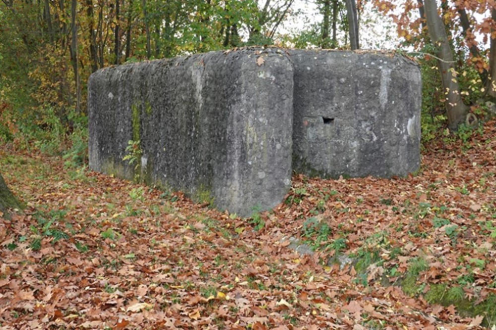 Bunker Canal Albert Eigenbilzen #1