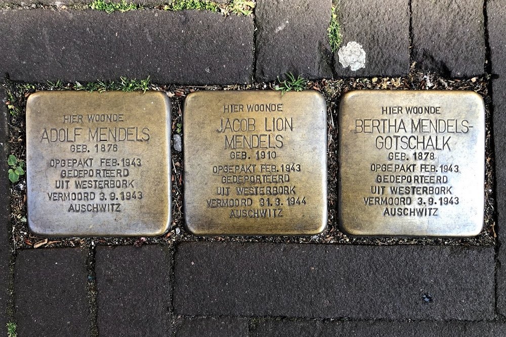 Stolpersteine Laan 20 #1