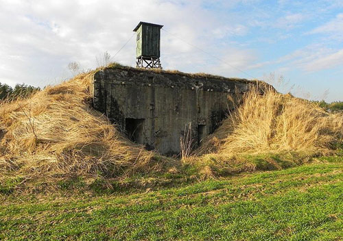 Molotov Line - Casemate IV Podemszczyzna #3