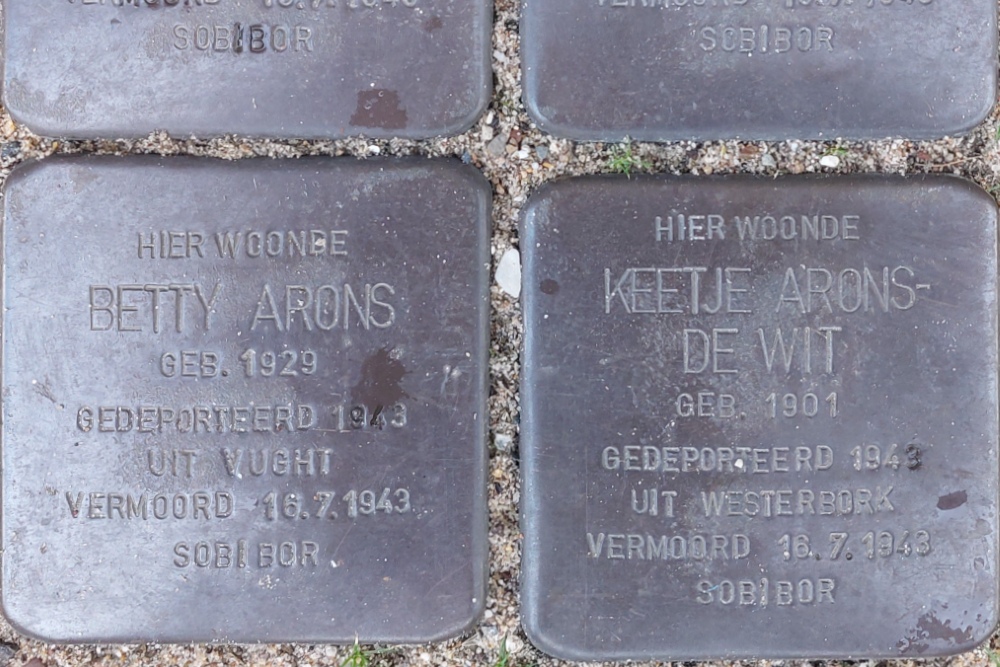 Stumbling Stones Burgemeester Meineszlaan 39a #3