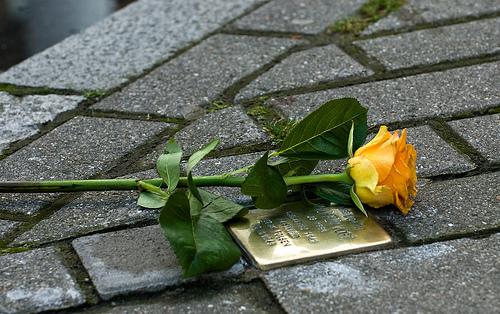 Stolperstein ABC-Strae 50