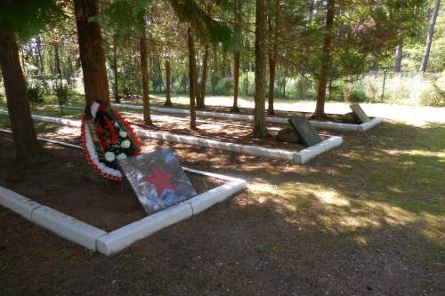 Polish-Soviet War Cemetery Borne Sulinowo #4