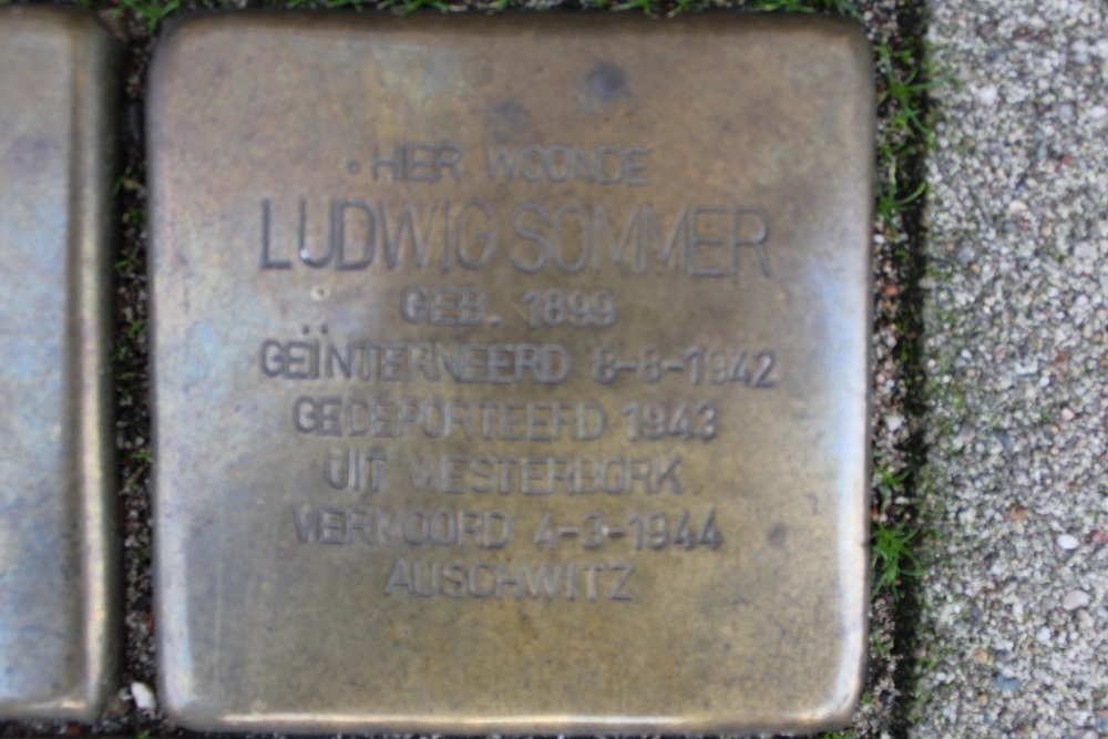 Stolpersteine Biesboschstraat 42 #3