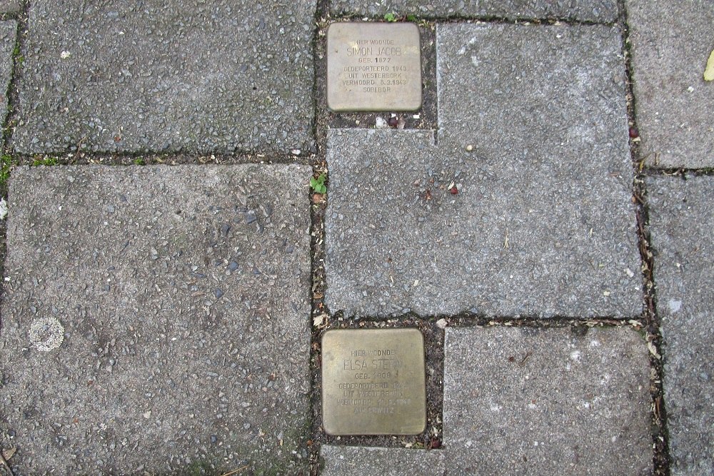 Stolpersteine Petrarcalaan 65 #1