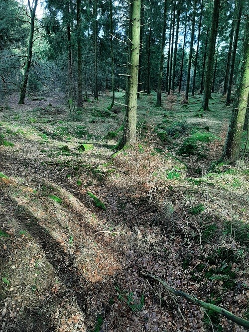 German Bunker Hollerath #4