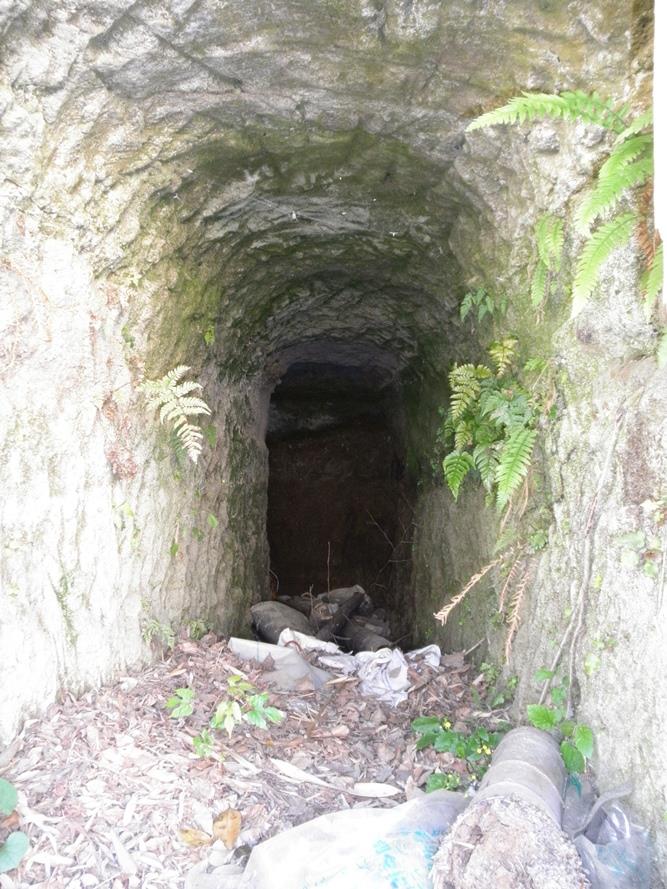 Tunnel Togane #4