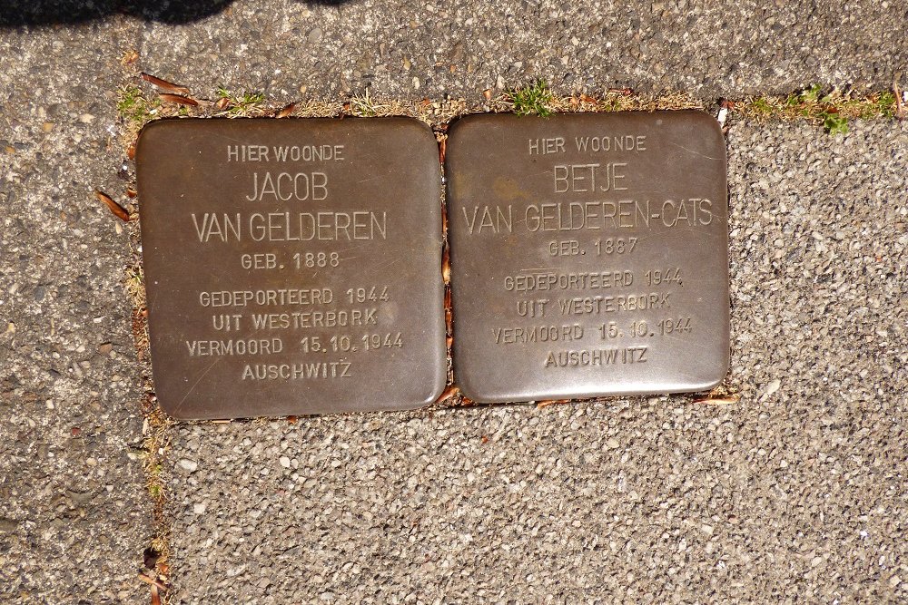 Stolpersteine C.N.A. Looslaan 18 #1