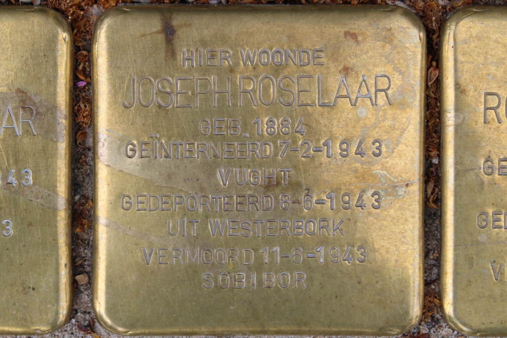 Stolpersteine Transvaalplein 20 #3