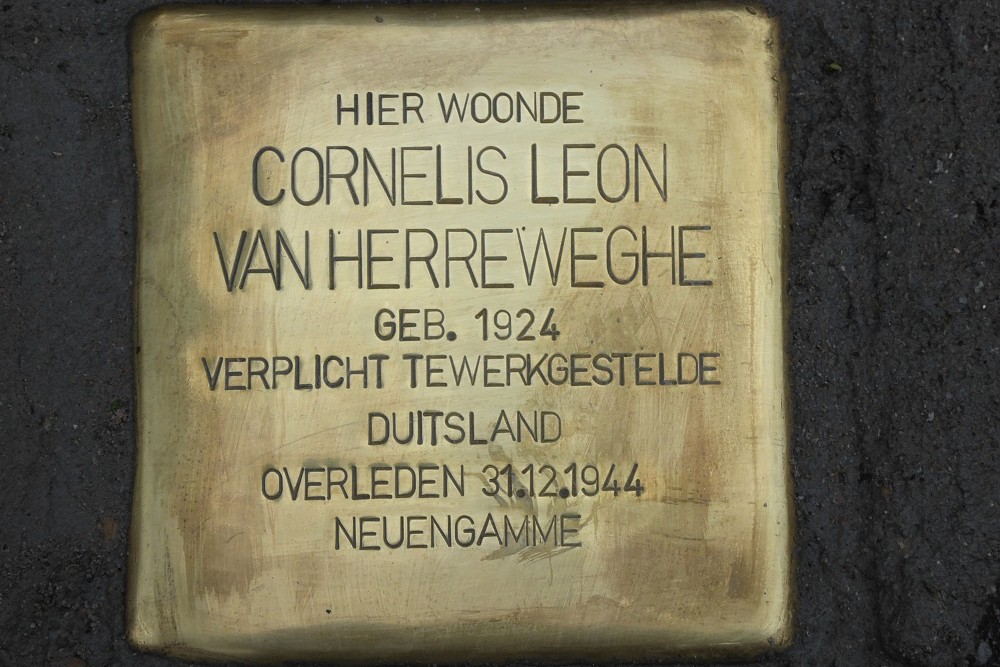 Stolperstein Hoogstraat 29 #1