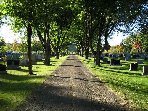 Commonwealth War Grave St. Aime de Shipton Cemetery #1