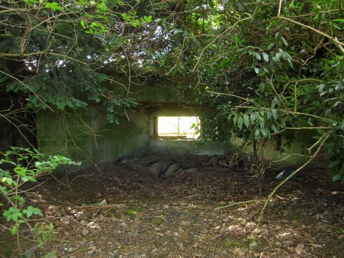 Gun Emplacement Shermanbury #1