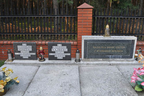 Poolse Oorlogsbegraafplaats Lelw #2